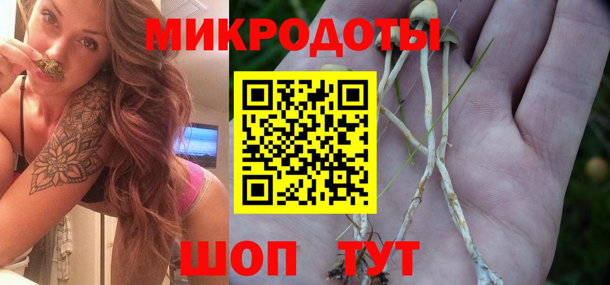 Псилоцибиновые грибы прущие грибы Надым