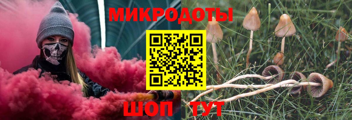 Псилоцибиновые грибы прущие грибы Надым