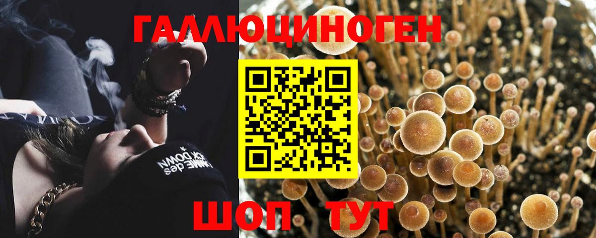 Галлюциногенные грибы MAGIC MUSHROOMS  Надым  Псилоцибиновые грибы прущие грибы 